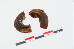 Foto von Bernsteinringperle (NHMW-PRAE-025023)